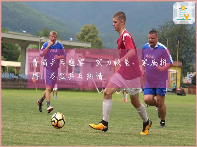 青浦乒乓盛宴｜实力较量，家底拼搏，尽显乒乓热情