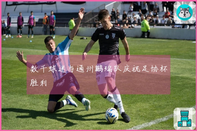 数千球迷与通州鹏瑞队庆祝足协杯胜利